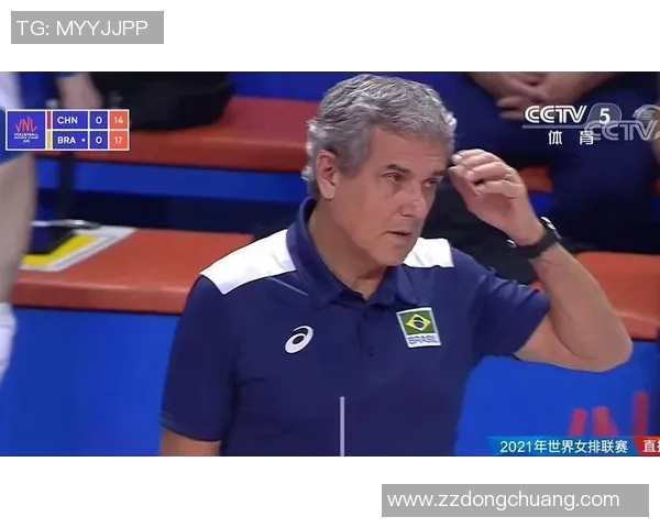 南京排球队反击之路的得与失分析与展望