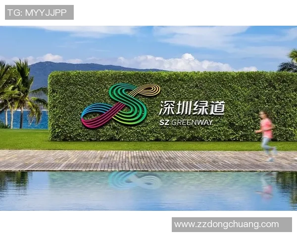 南京飞盘队中路突破创新之路探秘与战术解析